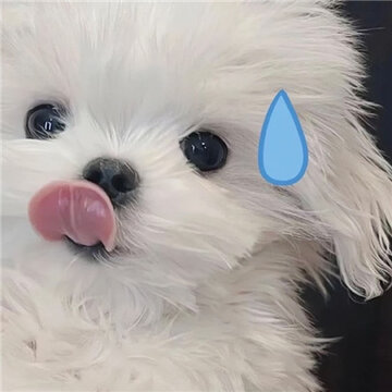 005Qblgkgy1h80ujihkhtj30u00u076p.jpg