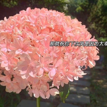 һ������û�ط���й˵˵ ���鲻��û�ط���й���İ�