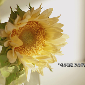 2022只剩最后一天的心情说说 今天是2022的最后一天的说说 2022只剩最后一天的心情说说 今天是2022的最后一天的说说
