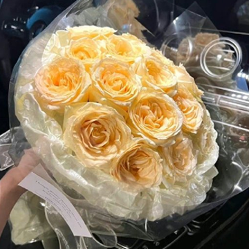 ������ȴһ�㶼�����ĵ�˵˵ �����ĵ���������˵˵