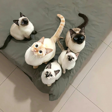 又怂又可爱的timi网名 听起来傻乎乎的昵称 又怂又可爱的timi网名 听起来傻乎乎的昵称
