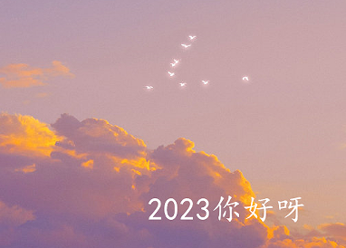 2022�ټ�2023�������˵˵ ���2022ӭ��2023�Ķ̾�