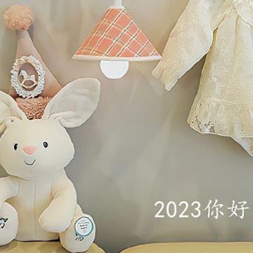 2022�ټ�2023�������˵˵ ���2022ӭ��2023�Ķ̾�
