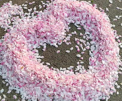 ����ͷ�İ���ǩ������ �����ů�а���ǩ��