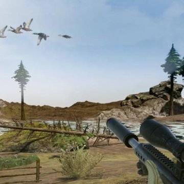 ҰѼ����Wild Duck Hunting