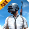 pubgmobile��������°�20243.0.1(BETA PUBG MOBILE)v3.0.1 �ٷ�����