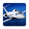 ����ģ����2023(Aerofly FS 2022)v20.22.09.11 ��׿��