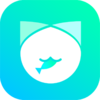 ץ��è�һ�appv3.1.2 ��׿��