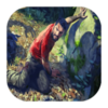 ��ɫɭ�ֵ�������Forest of Green Hell Guidev1.1 ��׿��