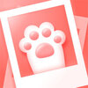 �������ɼ�appv1.0.1 �ٷ���