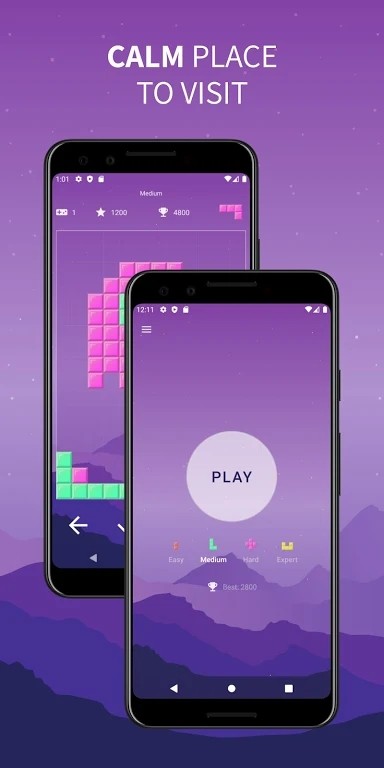 ����ש��Brick Gamev4.0.1 ���İ�