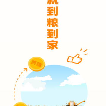 粮到家app 粮到家app