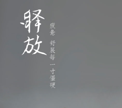 YPLUS瑜伽 YPLUS瑜伽
