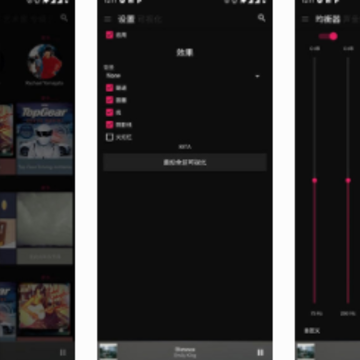 ��ɫ������(BlackPlayer)