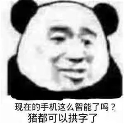 万能实用熊猫头表情包大全大全-离殇资源网