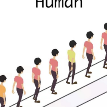 Infection Human