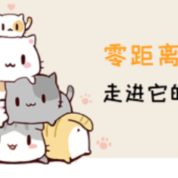 ������app