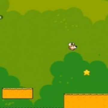 ����»�Ȯ����(Super Corgi Adventure)