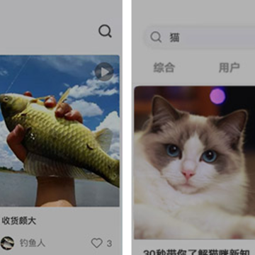 С����app