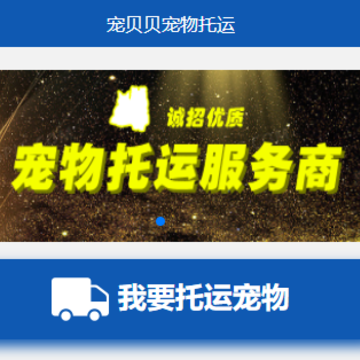 宠贝贝宠物托运平台 宠贝贝宠物托运平台