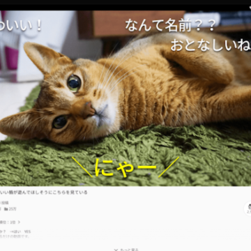 �ձ�bվapp