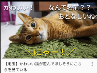 niconicǫ���