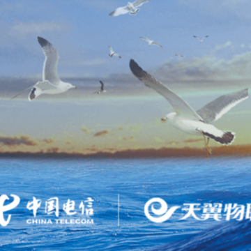 ��������app