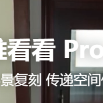 ��ά����Pro