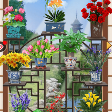 花花消消消 花花消消消
