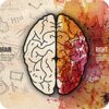 ������ѵ��Working Memory Trainingv2.5.5 ��׿��