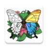 ����Ϳ������ɫ����v1.0.12 ��׿��