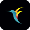 bebird appv6.1.26 ���°�