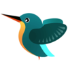 Kingfisher appv202202111 ��׿��