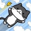 è��ð����Ծ�˶�JumperCatv1.0.5 ���°�