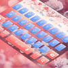 �������appv1.1 ���°�