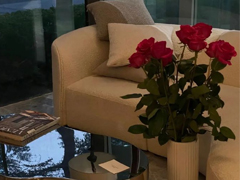����ܿ���ʵ�ܵ�˵˵ ����ƣ�ֲ����ľ���