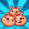 �����Ƿ���ƴͼ(Pigs and Wolf)v1.0.0.1 ��׿��