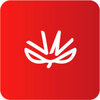 ά������appv1.0.17 ���°�