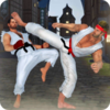 ���ֵ��񶷴�ʦ(Karate Fighting 2021)v1.2.6 ��׿��