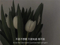 �Լ������ı��������˸о��� ���鱻�������ѹ��İ�