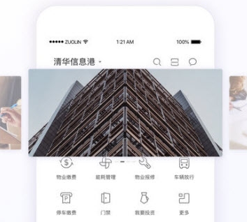 紫荆 紫荆