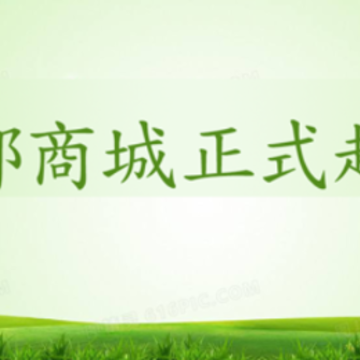 �׶�app