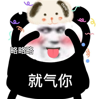 最新版熊猫头搞笑表情大全大全-离殇资源网