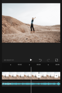 vision s1���app