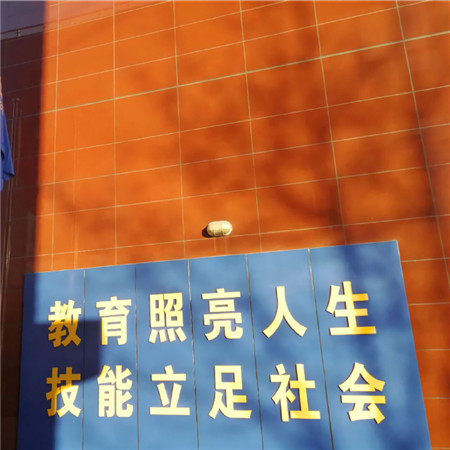 2022很个性的带字背景图超火 大家压力都很大