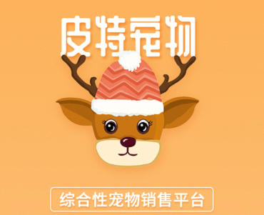 皮特宠物app 皮特宠物app