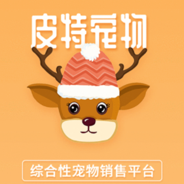 皮特宠物app 皮特宠物app