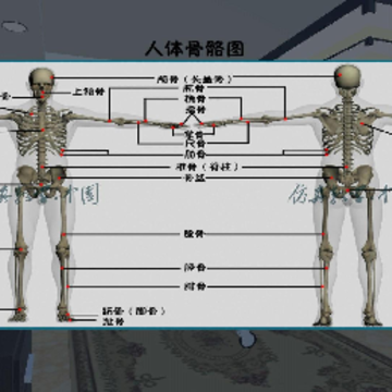 ���껤��app