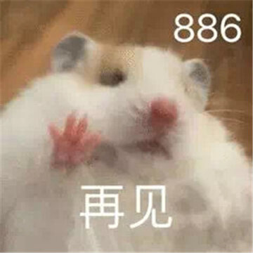 2022萌萌的小老鼠搞笑表情合集 今天我是流泪鼠鼠头 2022萌萌的小老鼠搞笑表情合集 今天我是流泪鼠鼠头