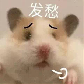 2022萌萌的小老鼠搞笑表情合集 今天我是流泪鼠鼠头 2022萌萌的小老鼠搞笑表情合集 今天我是流泪鼠鼠头